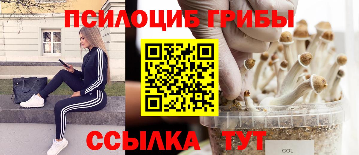 Галлюциногенные грибы Psilocybe  Псилоцибиновые грибы мухоморы  Вход с VPN  Омск 